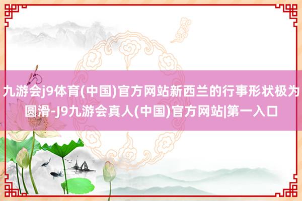 九游会j9体育(中国)官方网站新西兰的行事形状极为圆滑-J9九游会真人(中国)官方网站|第一入口