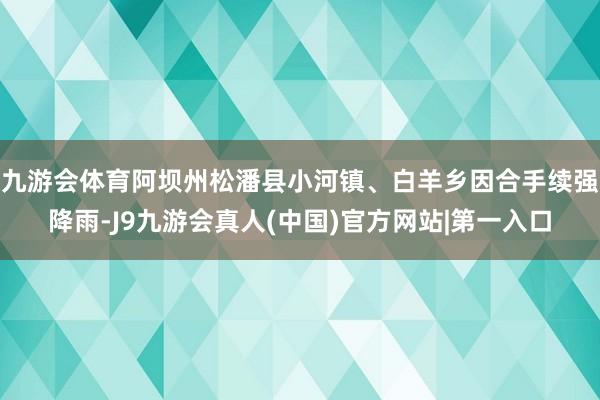 九游会体育阿坝州松潘县小河镇、白羊乡因合手续强降雨-J9九游会真人(中国)官方网站|第一入口